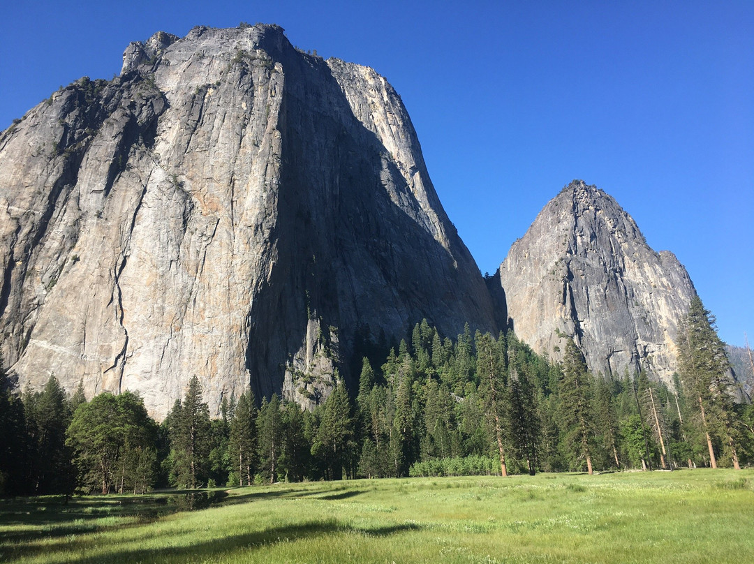 Buck Meadows Lodge主图