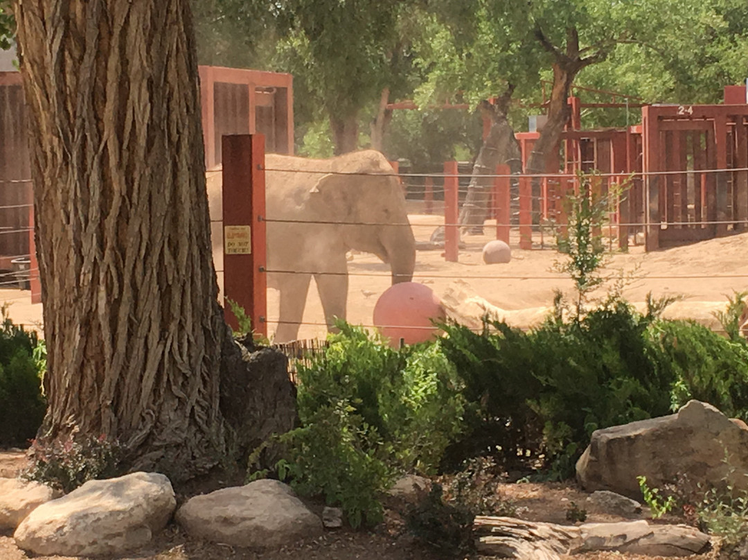 ABQ BioPark Zoo景点图片