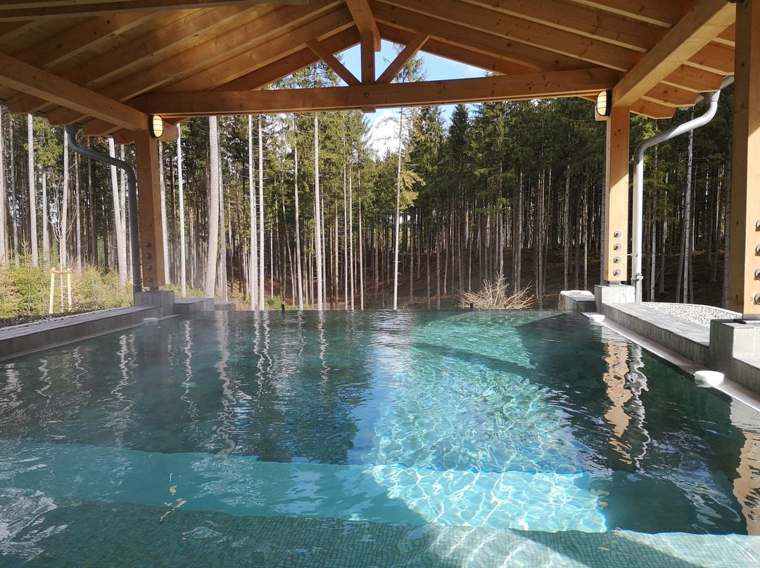 Spa Deep Nature - Park Allgäu景点图片