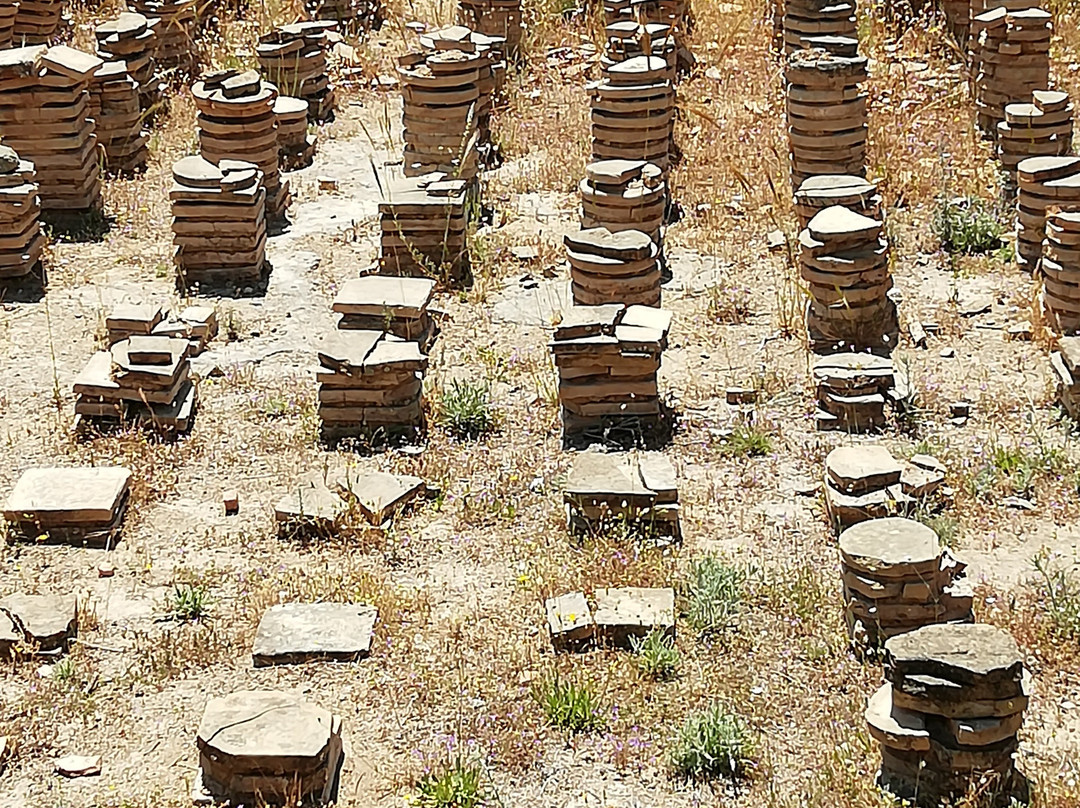 Archaeological Site of Isthmia-伊斯米亚必去景点