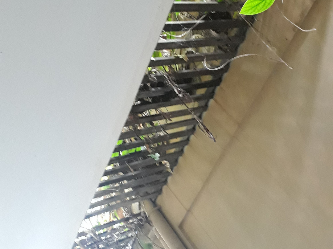 Alam Sembuwuk Resort主图