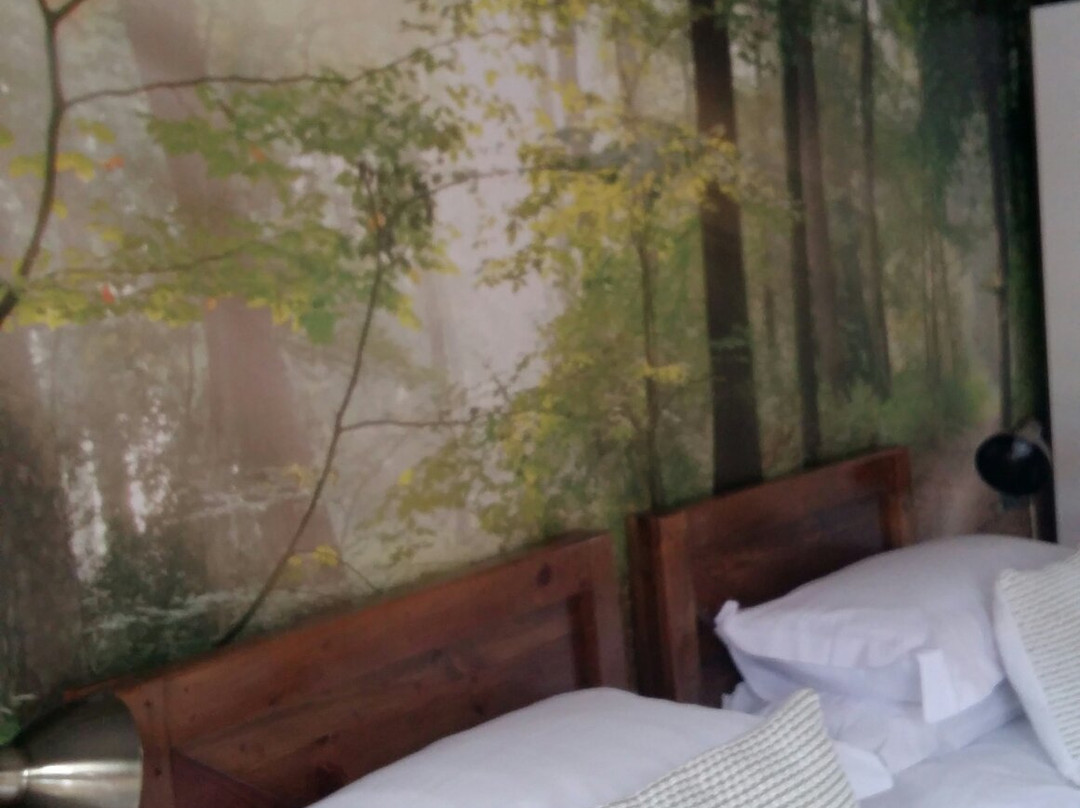 Mountain Trails B&B主图