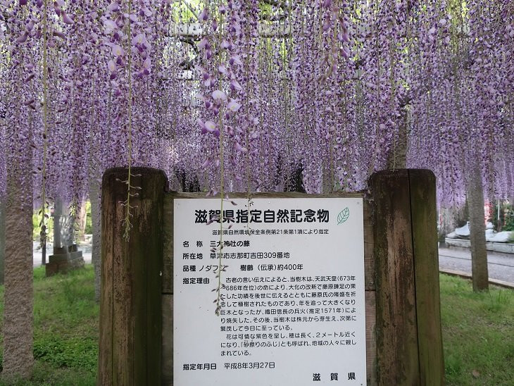 Sandai Shrine-草津市必去景点