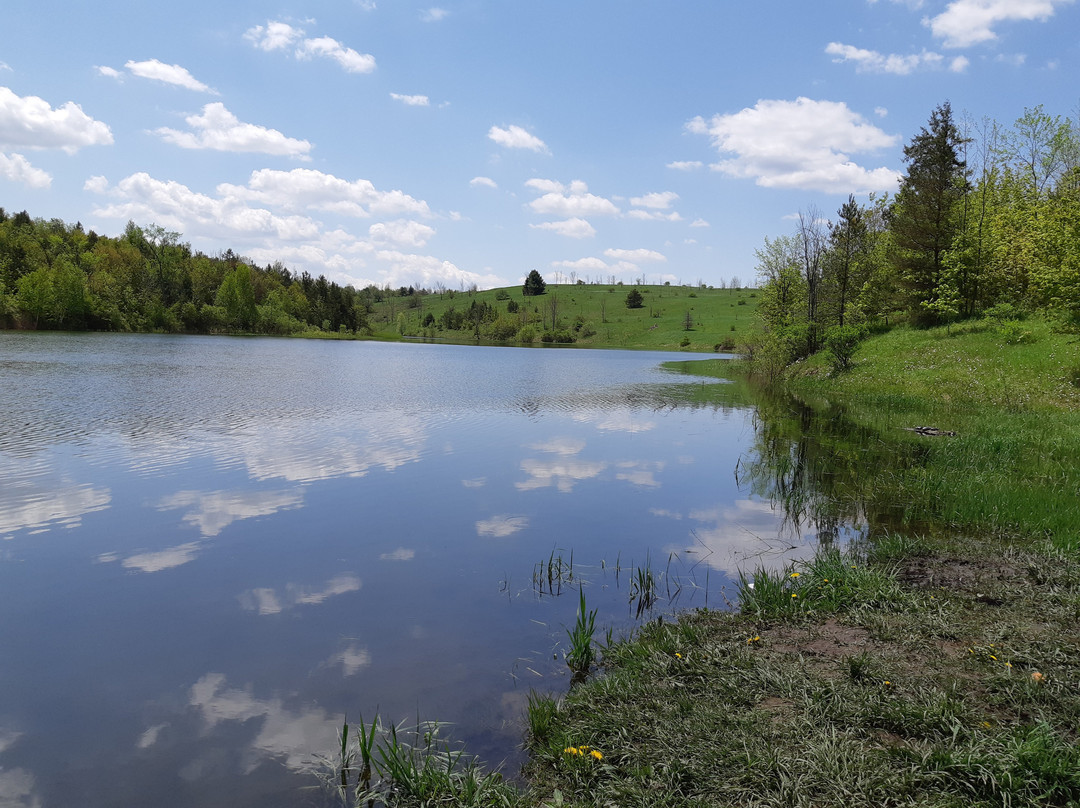 Forks of the Credit-卡利登必去景点