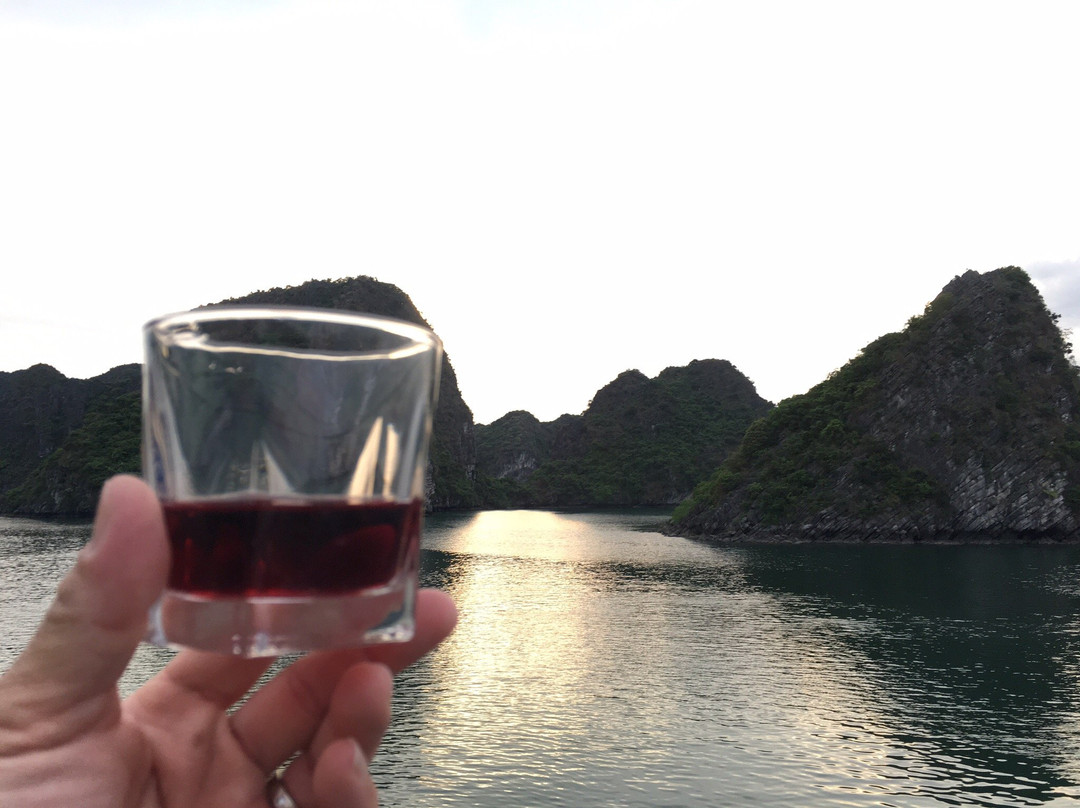 Camellia Cruise-团洲岛必去景点