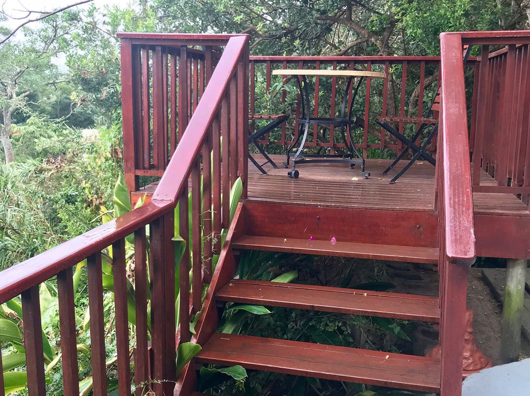 The Loerie Hide主图