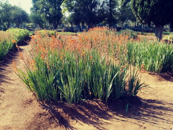 Sammy Marks House-比勒陀利亚必去景点