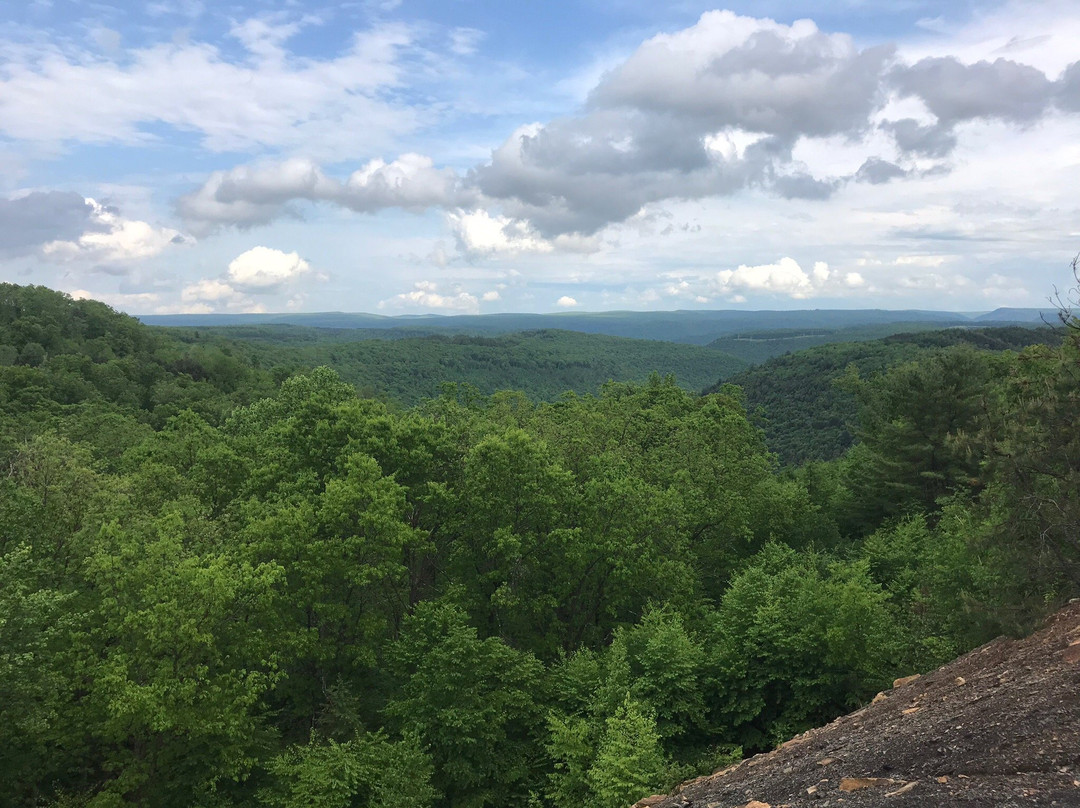Sproul State Forest景点图片