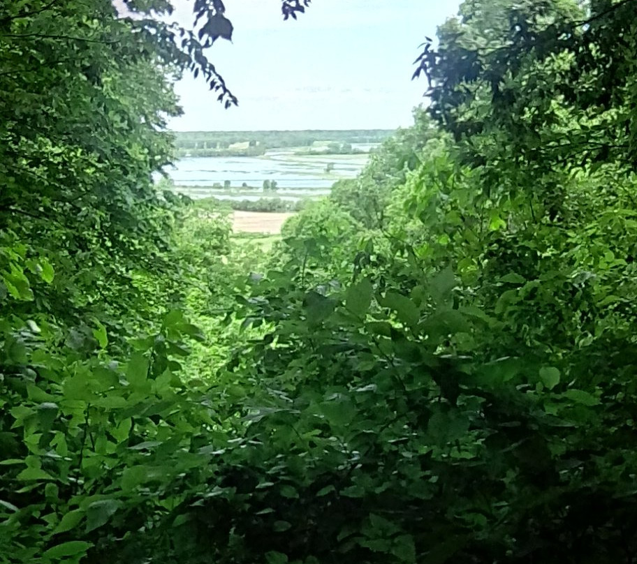 Van Meter State Park-Miami必去景点