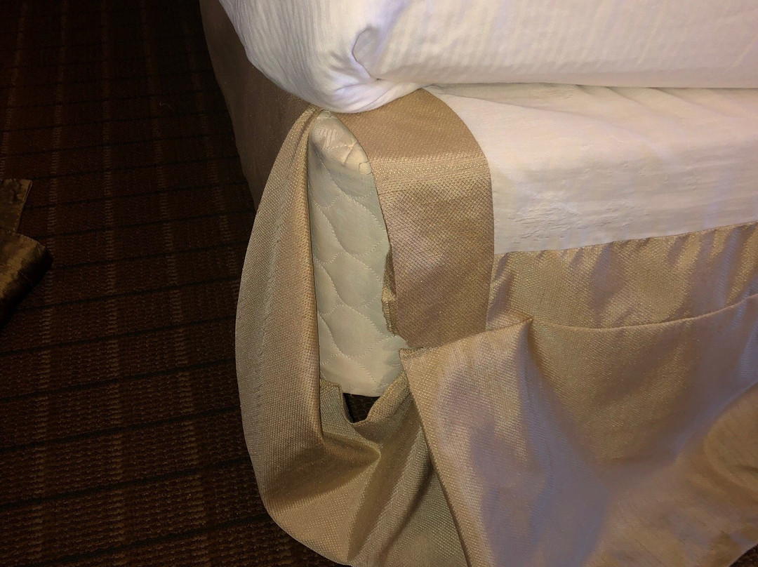 Bismarck Hotel and Conference Center主图