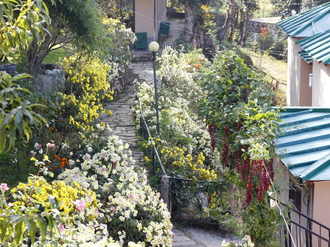 Parwati Resort主图