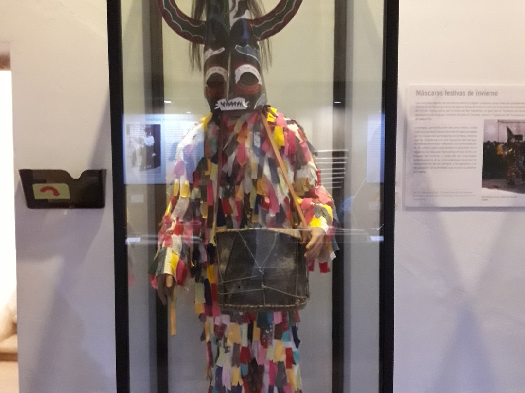Museo de Caceres景点图片