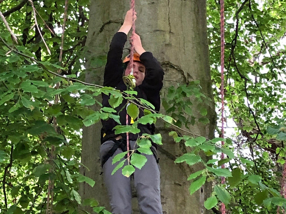 Wild Tree Adventures-斯特灵必去景点