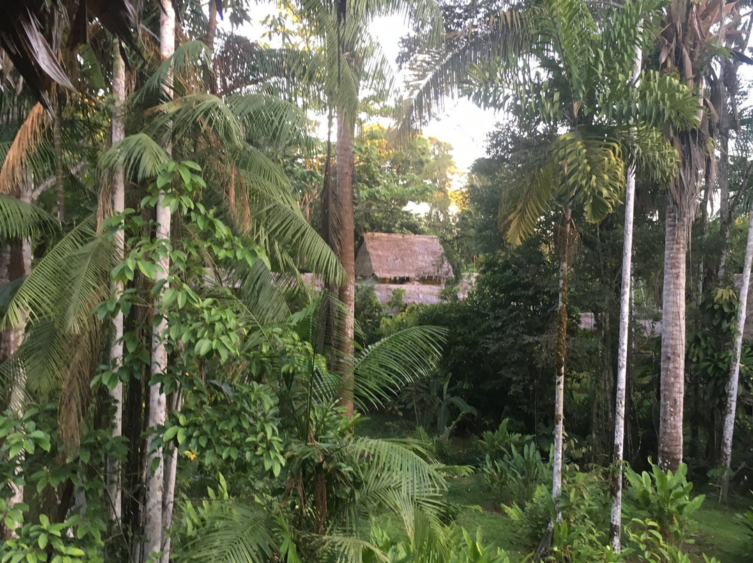 Francisco de Orellana旅游攻略图片