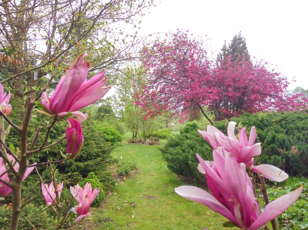 Vilnius University Botanical Garden景点图片