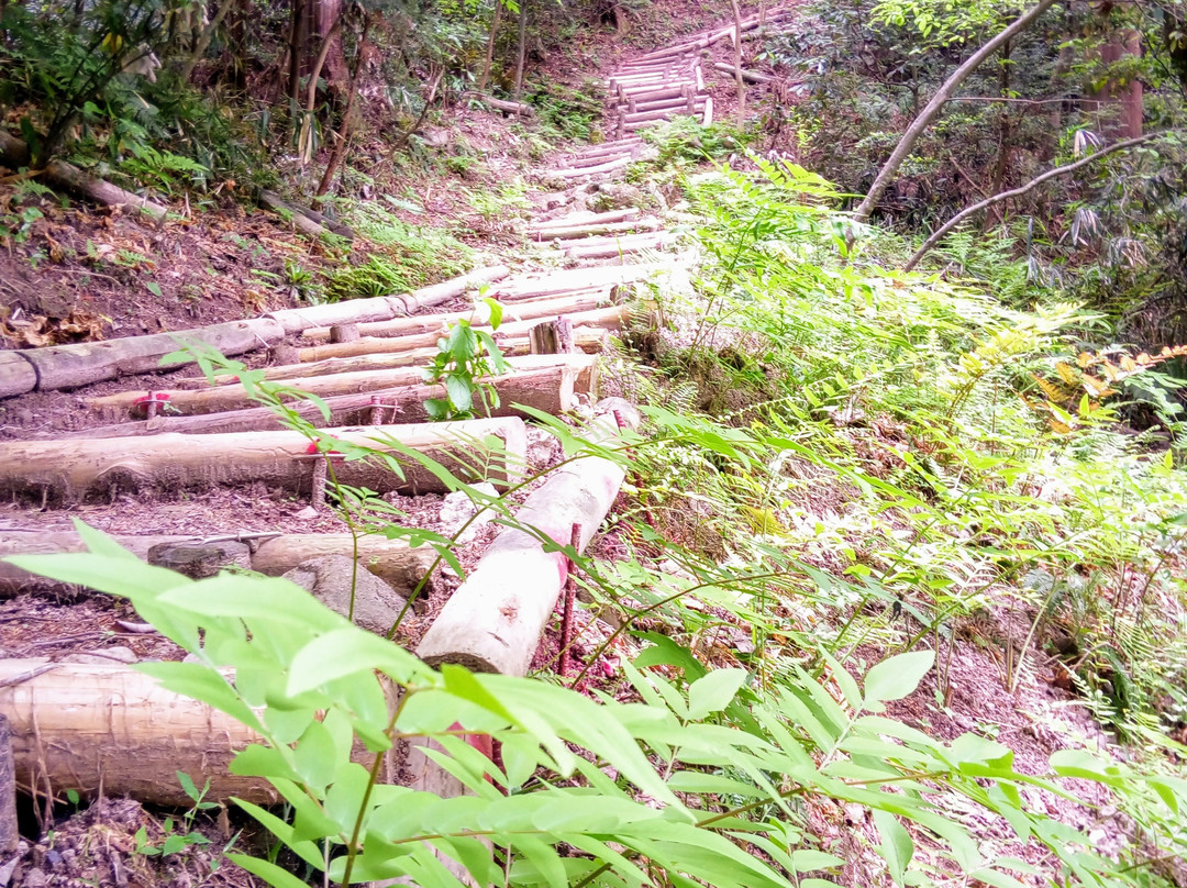Mt. Inoko-东近江市必去景点