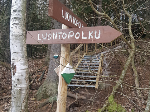 Cozy Nosey Tours-赫尔辛基必去景点