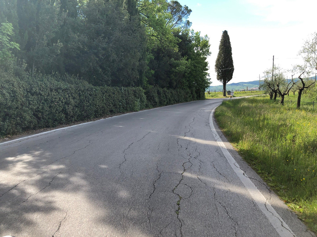 On The Tuscan Bike景点图片