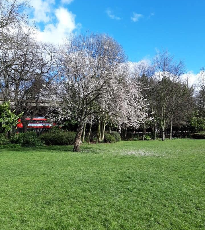 Carville Hall War Memorial Park景点图片