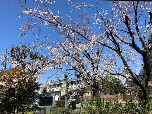 长泉町旅游攻略图片