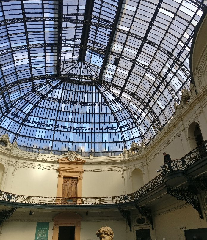 美术博物馆 (Museo Nacional de Bellas Artes)景点图片