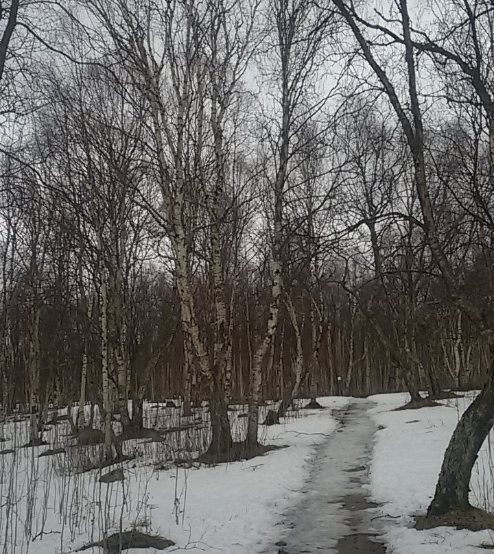 Murmashi旅游攻略图片