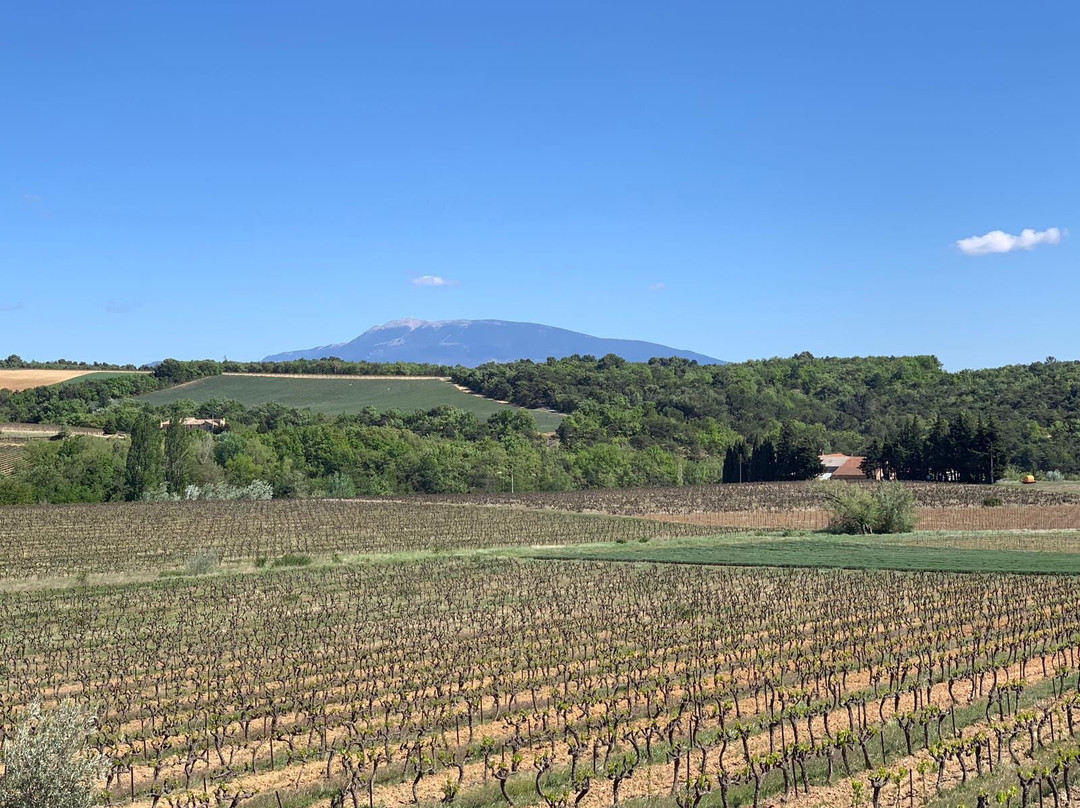 Domaine l'Ancienne Ecole-Vinsobres必去景点