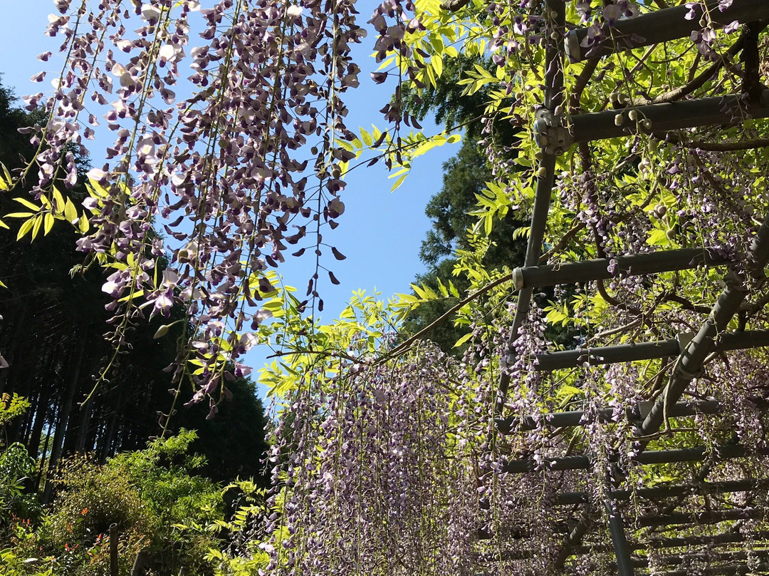 Miyama no Sato Shinrin Park-日高川町必去景点