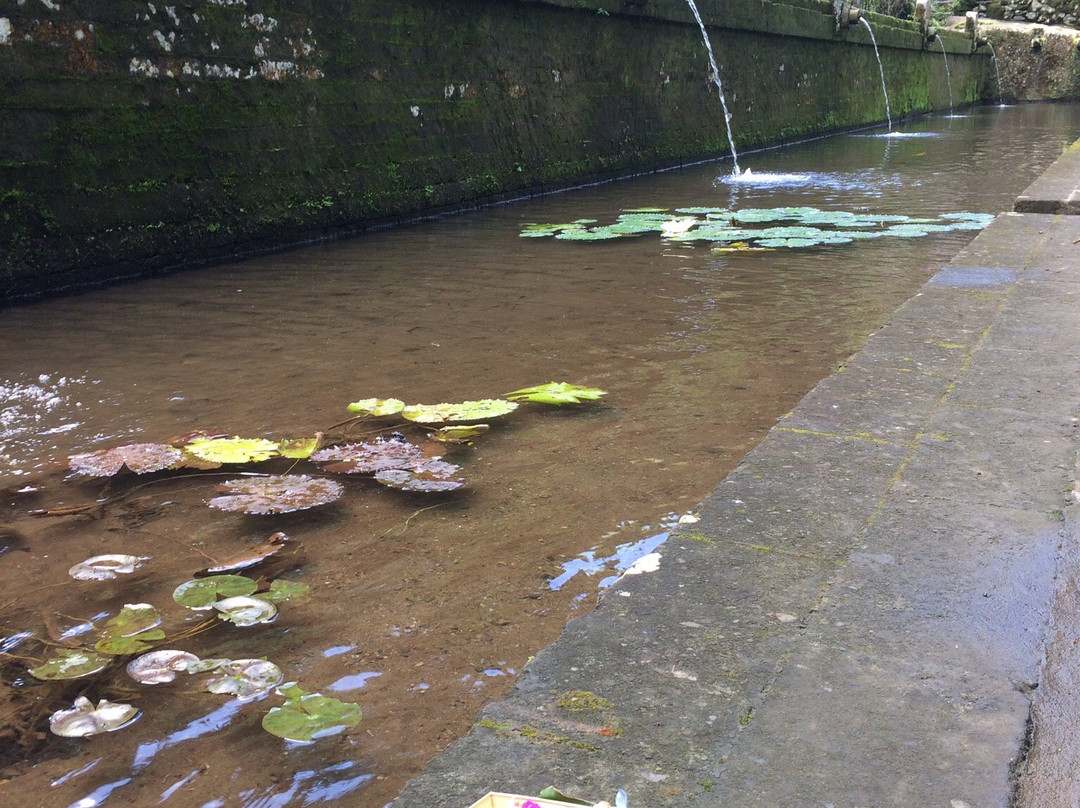 Puri Agung Tampaksiring-坦帕克西林必去景点