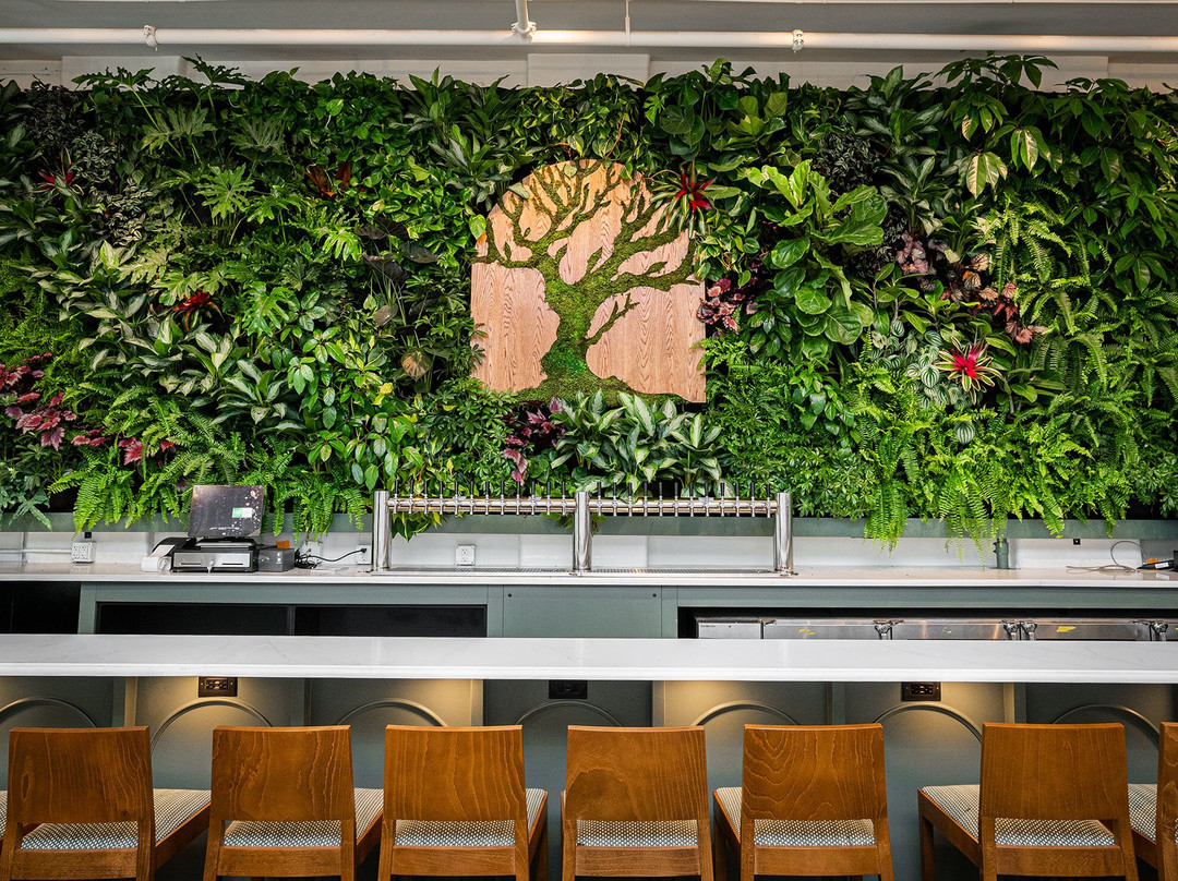 Alcove by MadTree Brewing