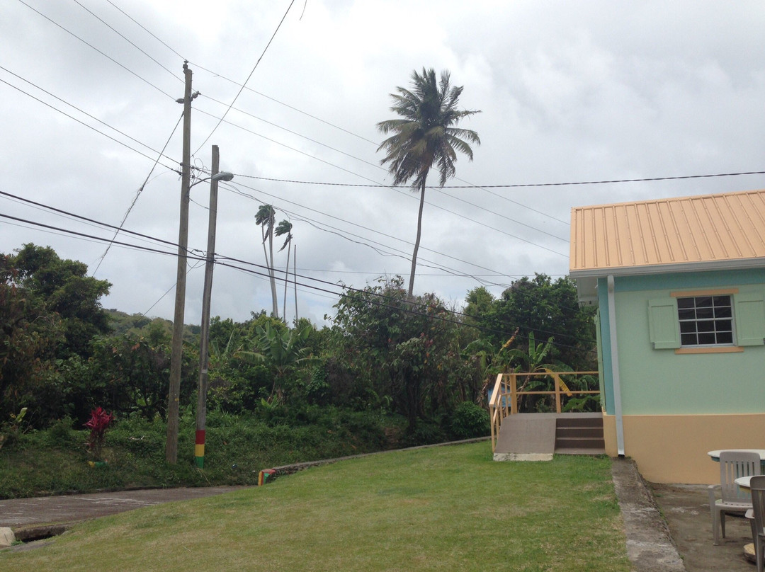 The Grenada Chocolate Company-St. George's必去景点