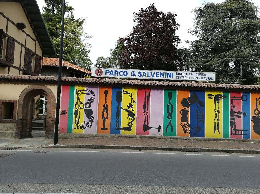 Parco Salvemini景点图片