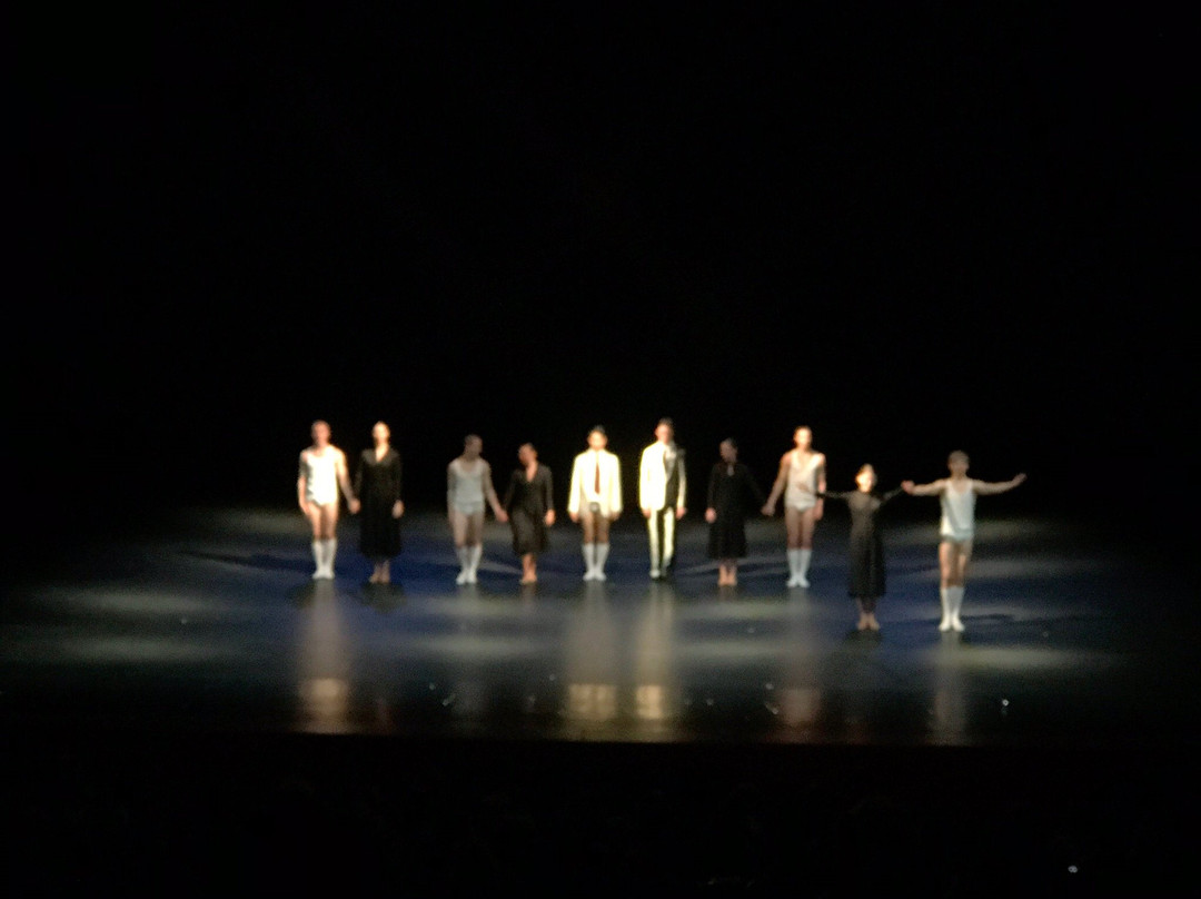 Israel Airforce Center-荷兹利亚必去景点