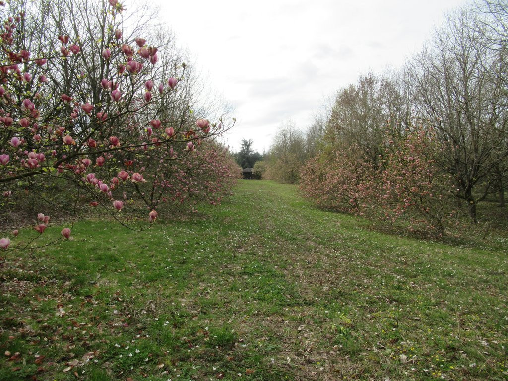 Arboretum de la Roche-Guyon景点图片