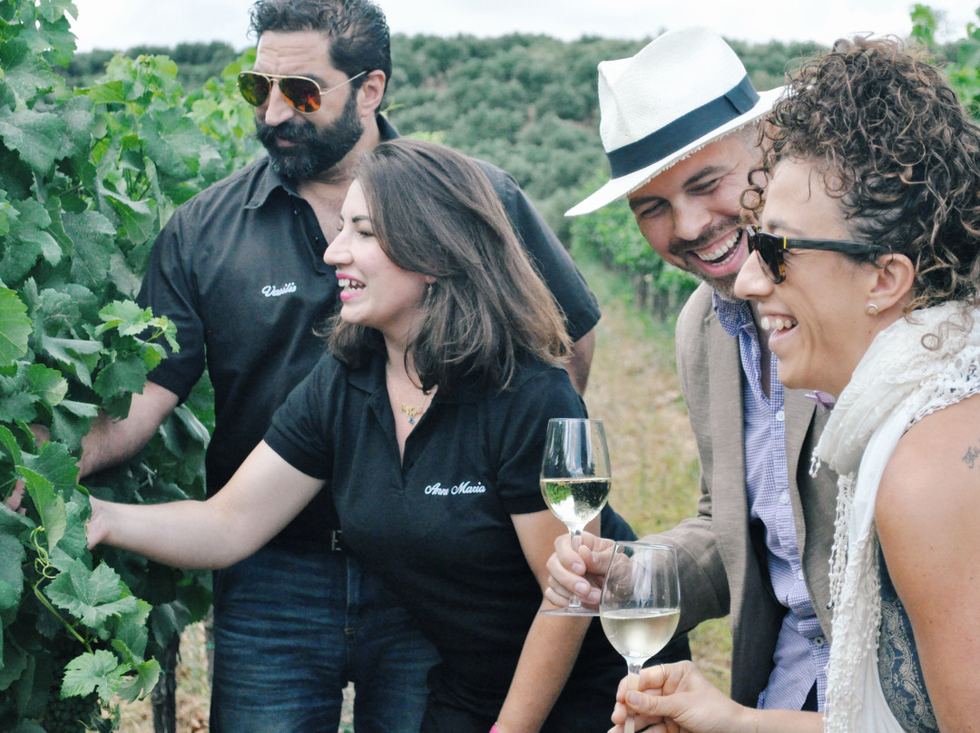 Chania Wine Tours-干尼亚必去景点