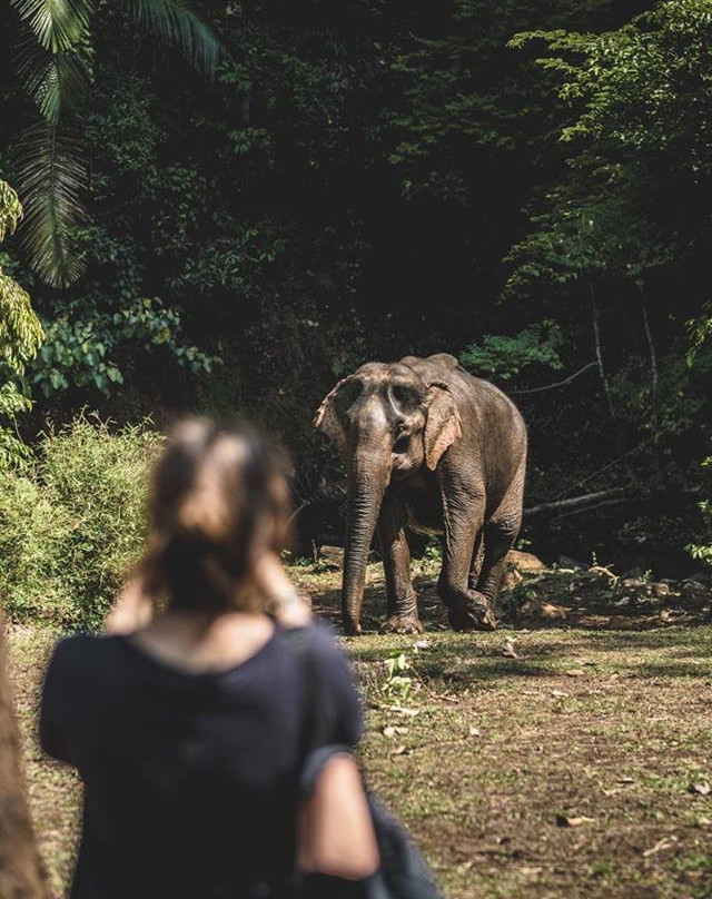 Elephant Valley Project-森莫诺隆必去景点