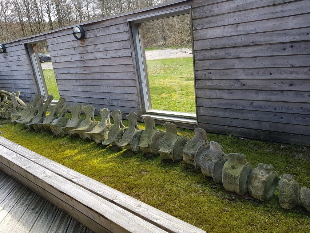 Museum Sønderjylland - Gram Clay Pit-Gram必去景点