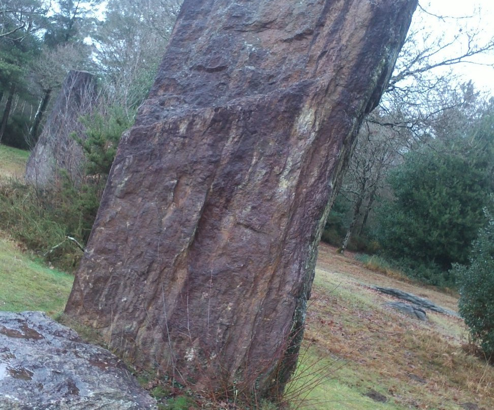 Menhirs de Monteneuf景点图片