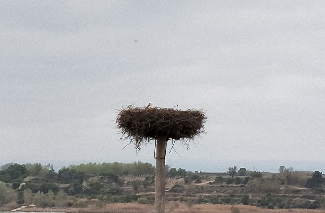 Estany d'Ivars-Ivars d'Urgell必去景点