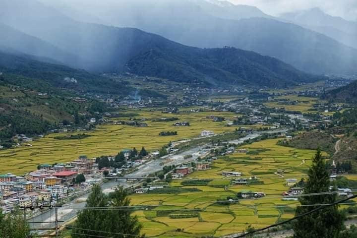 Jaigaon Tour & Travels - Bhutan Travel Specialist景点图片