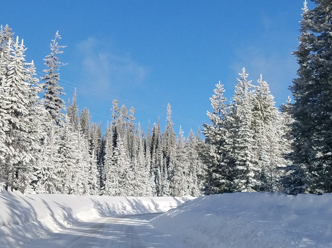 Blacktail Mountain Ski Area-Lakeside必去景点