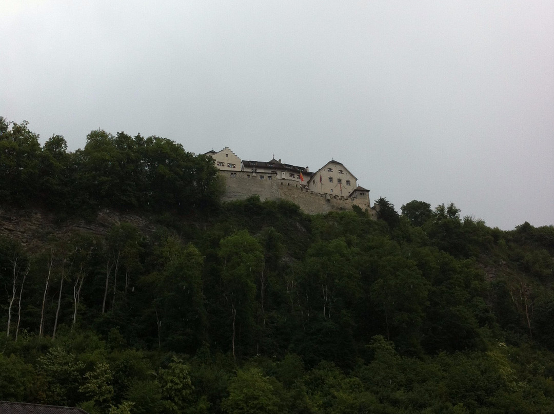 Hotel Vaduzerhof主图