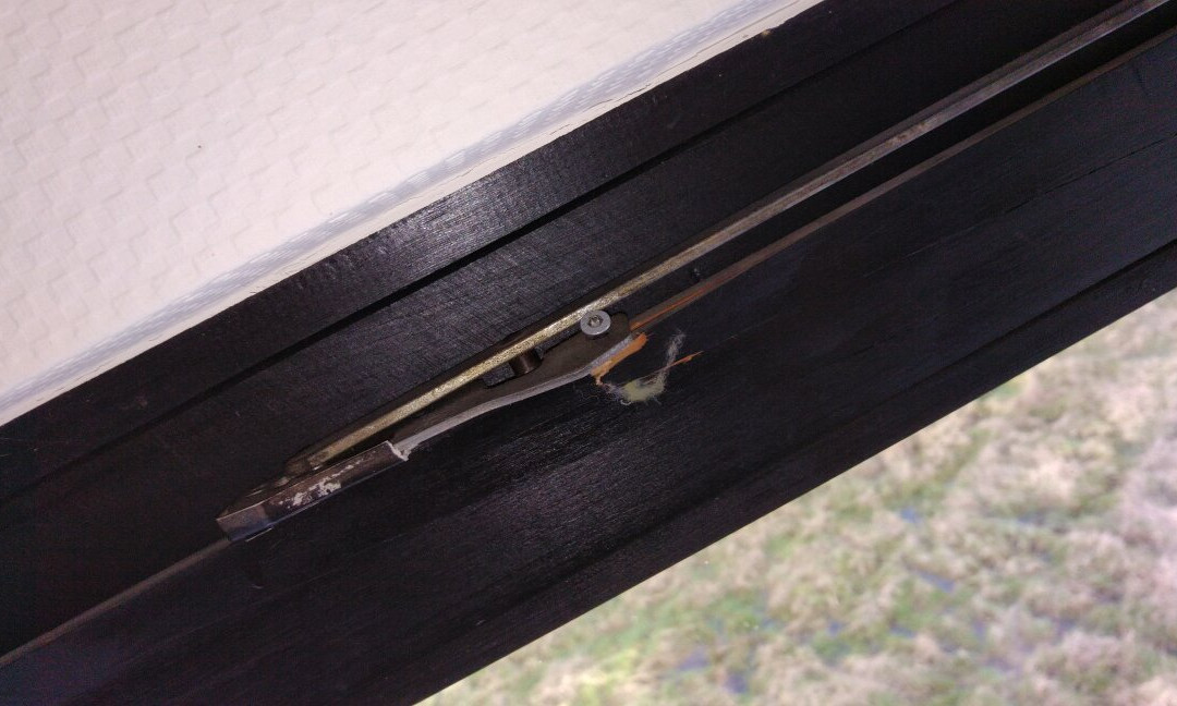 Parkhotel am Heger Holz主图