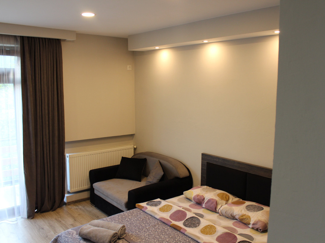 Guest House on Meskheti主图