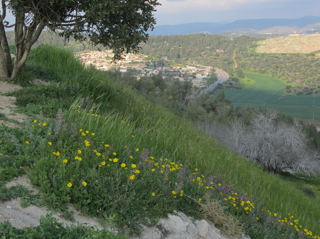 Elah Valley