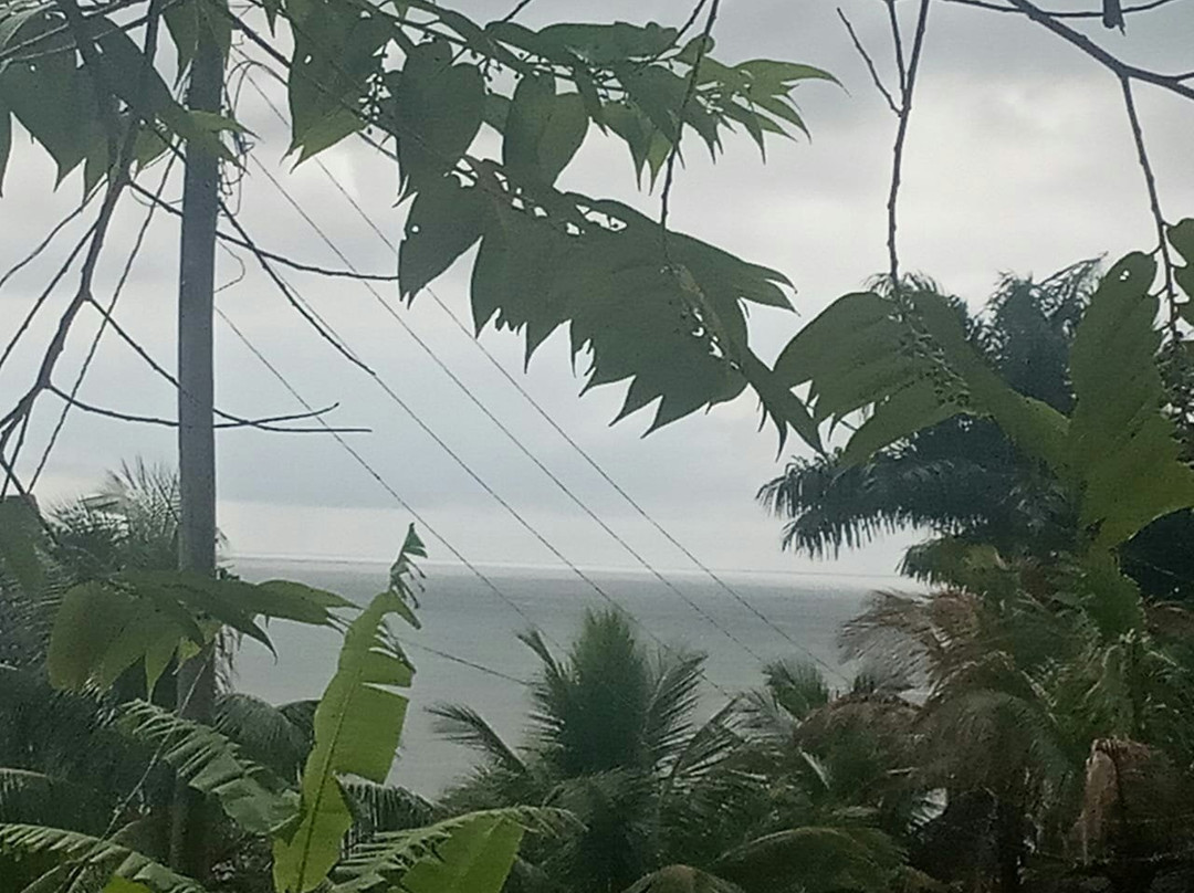 Prainha Beach景点图片