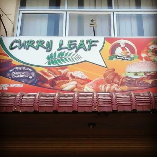 Curry Leaf主图