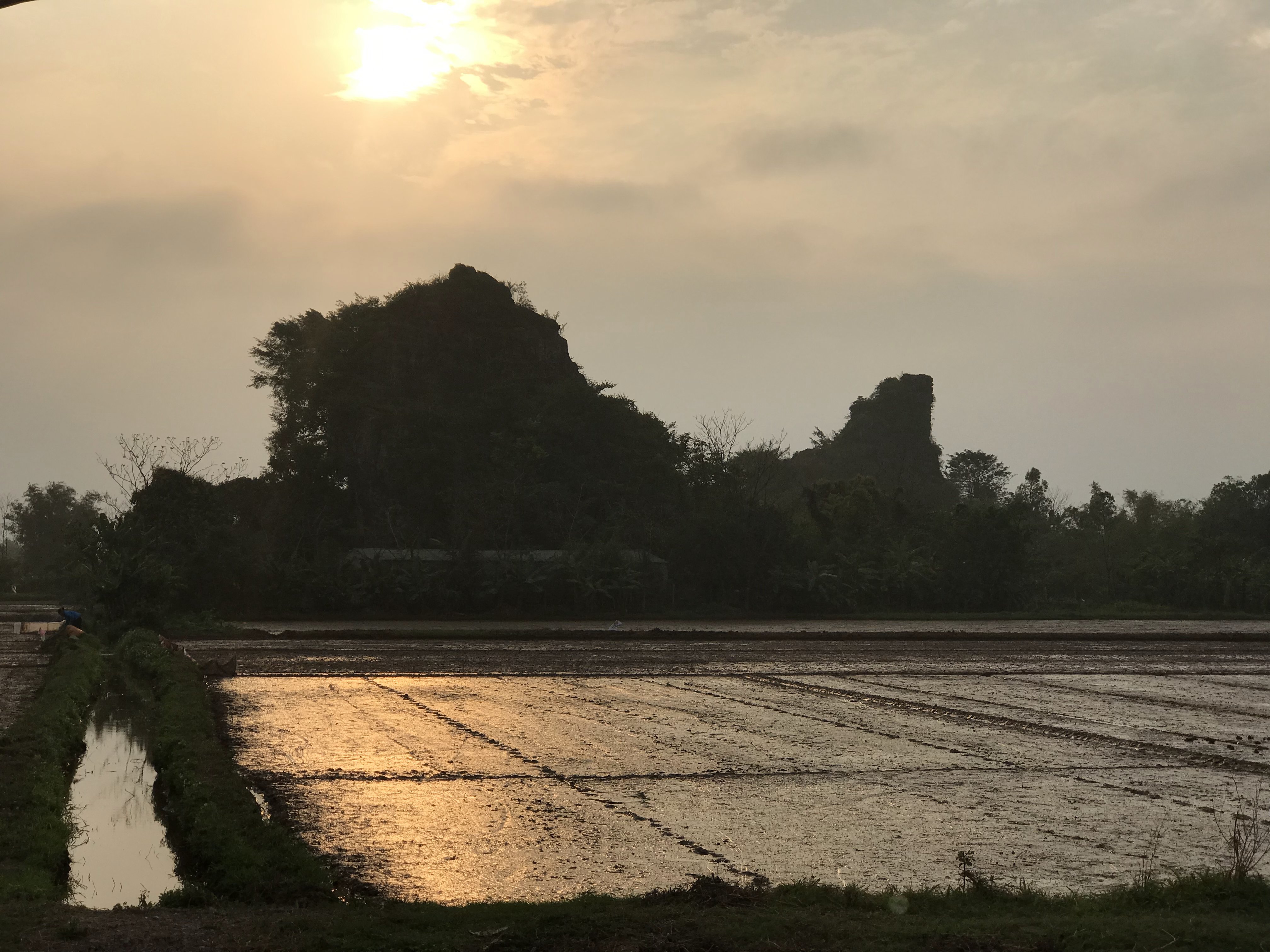 Dragon Boat Rock-官方