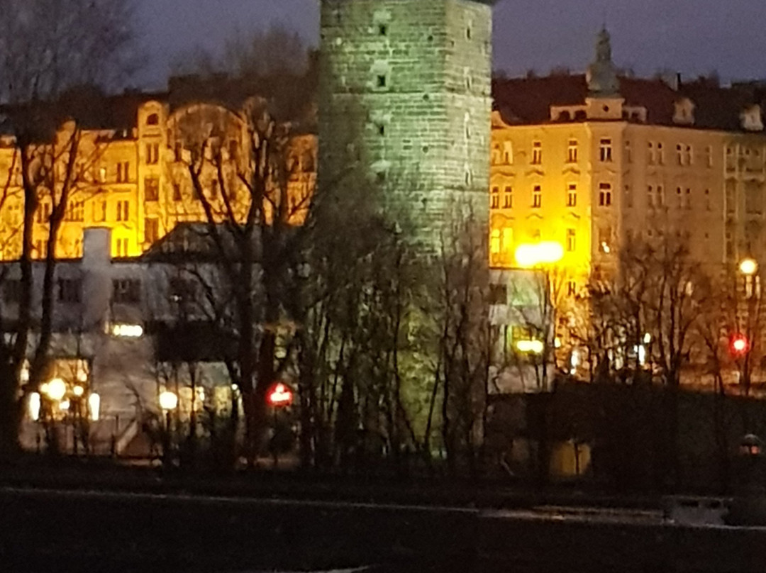 Šítkov Water Tower & Manes Gallery景点图片