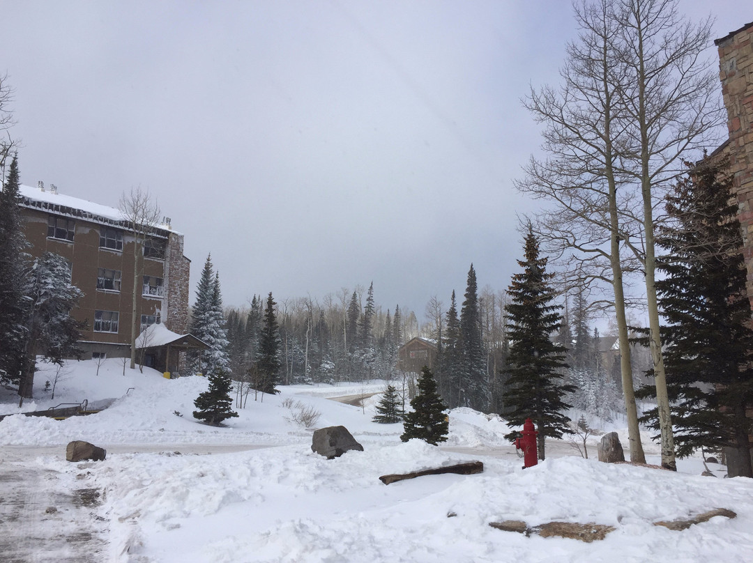 雪松休闲旅舍主图